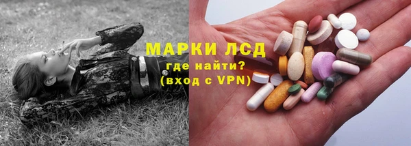 apvp Алзамай