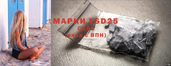 apvp Алзамай